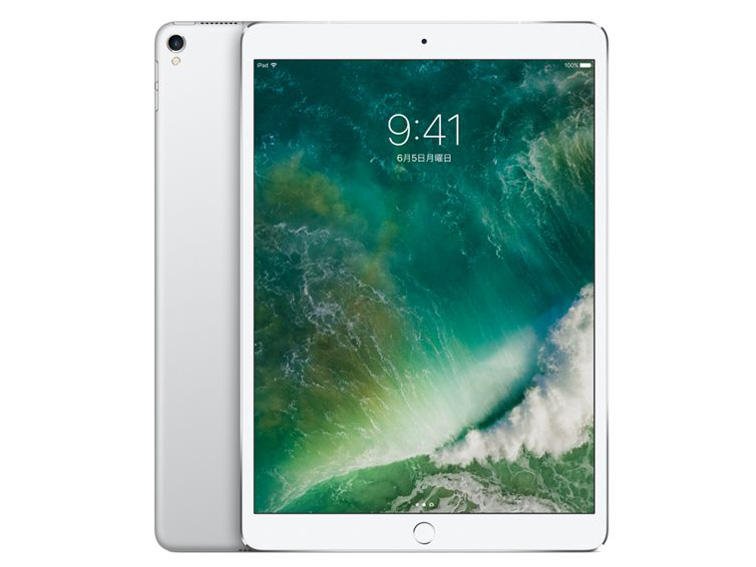iPad pro 256gb wifiモデル　（第一世代） 11インチiPad Pro Wi-Fiモデル 256GB（標準ガラス搭載